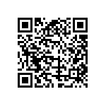 333-056-541-203 QRCode