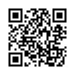 33L3F3 QRCode