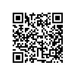 346-87-161-41-036101 QRCode