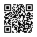 353LB3A384T QRCode