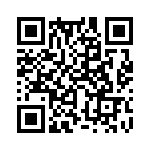 353LB5C491T QRCode