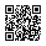 353NB3A100T QRCode