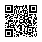 353NB3A384T QRCode