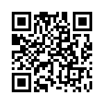 353NB3I081R QRCode