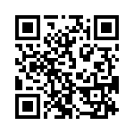 353NB3I163T QRCode