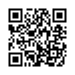 353NB3I250T QRCode