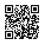 353NB3I307T QRCode