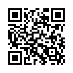 353NB3I480T QRCode