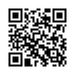 353NB3I655T QRCode