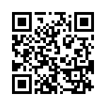 353NB5A163T QRCode