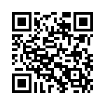 353NB5I021T QRCode