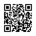 353NB6A480T QRCode