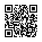 353SB3A384T QRCode