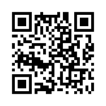 353TB3I135T QRCode