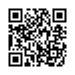 353TB3I163R QRCode