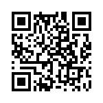 353TB3I491T QRCode