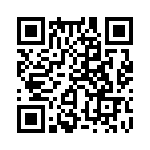 353TB5A384T QRCode