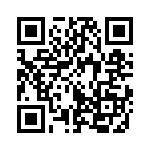 353TB5I400T QRCode