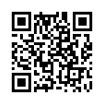 353VB5I343T QRCode