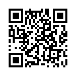 353WB3C307T QRCode