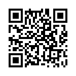 353WB3I400T QRCode