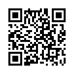 353WB5C320T QRCode