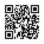 353WB5I480T QRCode