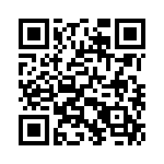 353WB5I500T QRCode