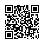 353WB6C163R QRCode