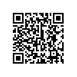 381LX331M250H022 QRCode