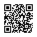 3833-1 QRCode