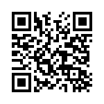 387_273 QRCode