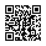 38941-22L QRCode