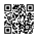 38BT-4-V-2-S QRCode