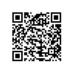 3BHE033613P0002 QRCode