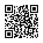 4-102976-0-29 QRCode