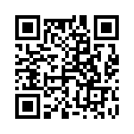 4-1102732-5 QRCode