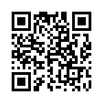 4-1393813-2 QRCode