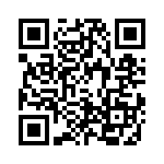 4-1393813-6 QRCode