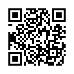 4-1393813-8 QRCode