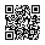 4-1393819-6 QRCode