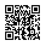 4-1612163-4 QRCode