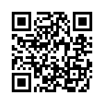 4-1624200-0 QRCode