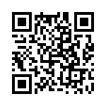 4-1746741-4 QRCode