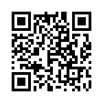 4-2177198-1 QRCode