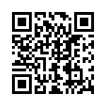 40J1013 QRCode