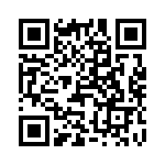 413025-1 QRCode