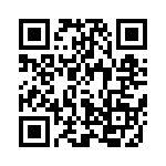 416F38022ALT QRCode