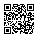 4181-3PG-300 QRCode