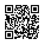 4181-4PG-300 QRCode